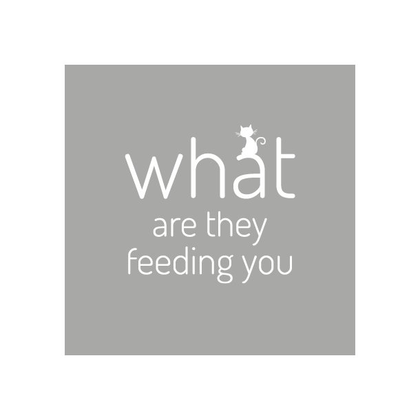 What are they feeding you - Friends - Flisesticker 15x15 cm - Gennemsigtig folie